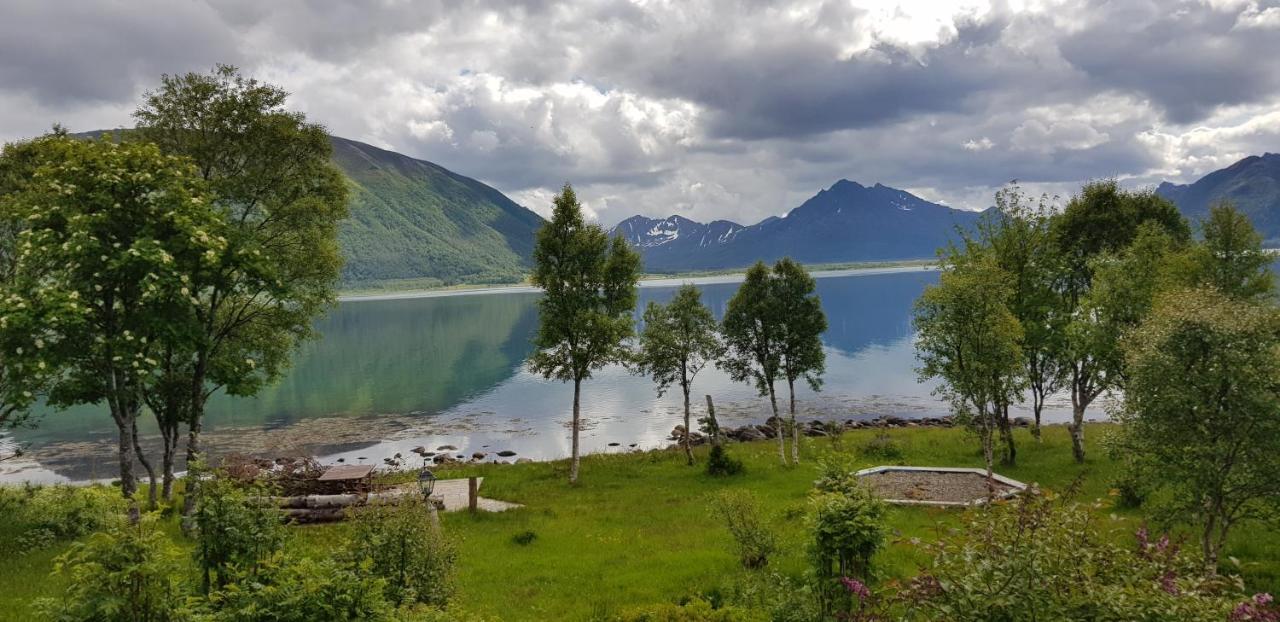Lykkebo, Skjoldehamnveien 1151, Nygard, Andoy Villa Risoyhamn Buitenkant foto