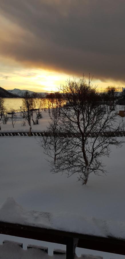 Lykkebo, Skjoldehamnveien 1151, Nygard, Andoy Villa Risoyhamn Buitenkant foto