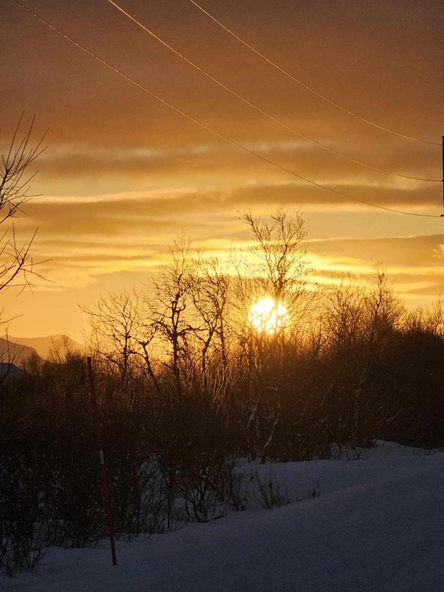 Lykkebo, Skjoldehamnveien 1151, Nygard, Andoy Villa Risoyhamn Buitenkant foto